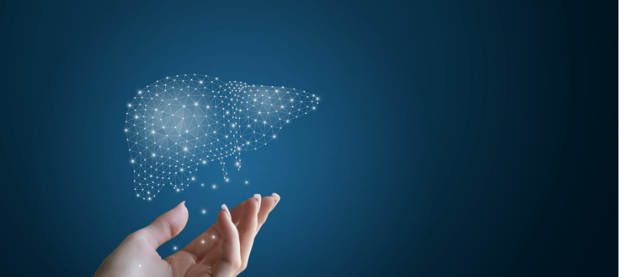 Fibroscan İşlemi Nasıl Yapılır?