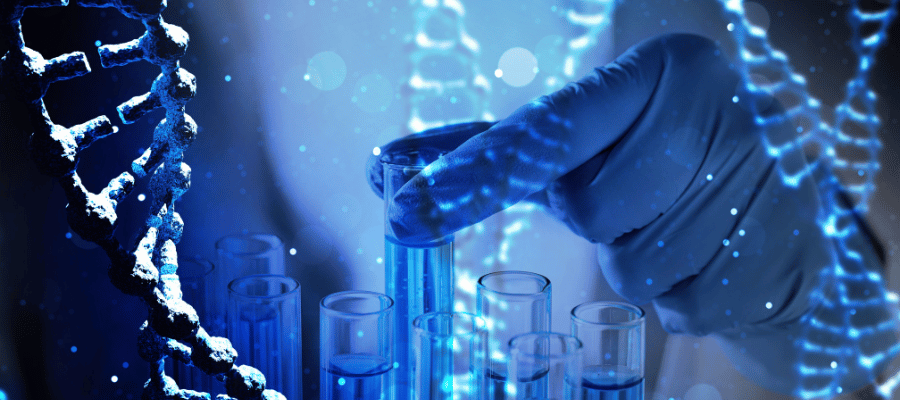 Metilasyon kapasitesi testi özellikle epigenetik değişimlerin analiz edilmesine imkan tanı