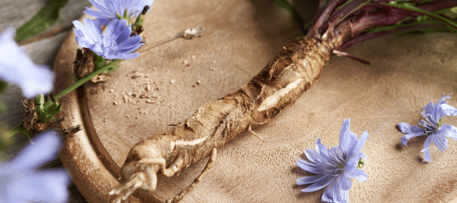 İnülin Takviyesi ve Kullanım Alanları