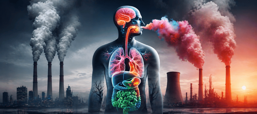 Toksinler, havadaki kirleticiler aracılığıyla solunum yoluyla vücuda girebilir.