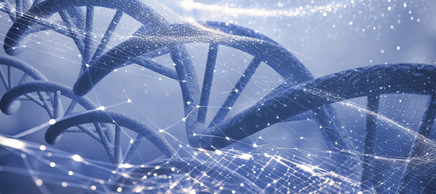 Zombi Hücreler Yaşlanma Sürecini Nasıl Hızlandırır?