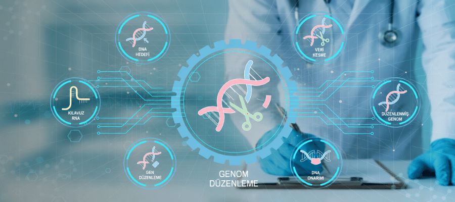 CRISPR-Cas9, DNA üzerinde belirli gen bölgelerinde düzenleme yapılmasını sağlayan genetik mühendisliği teknolojisidir.