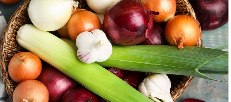 Prebiyotik Besinler Nelerdir?