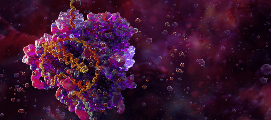 CRISPR-Cas9 tıp, tarım veya biyoteknoloji gibi farklı alanlarda genetik araştırma ve uygulamalarda kullanılır.