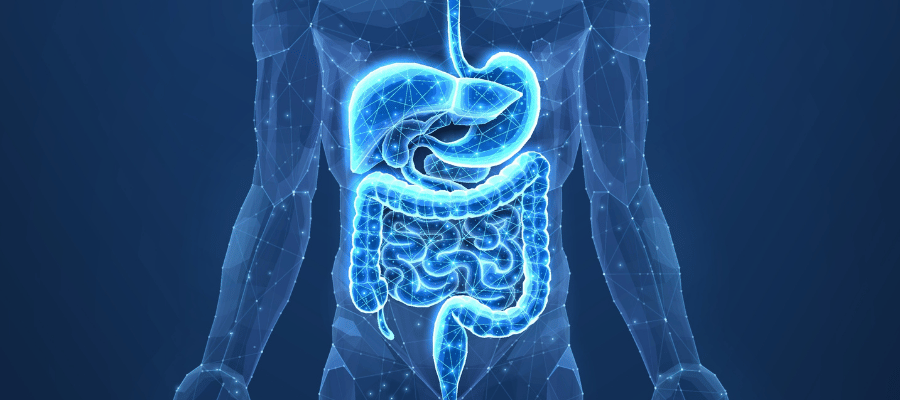 Geçirgen (Sızdıran) Bağırsak Sendromu Nedir?