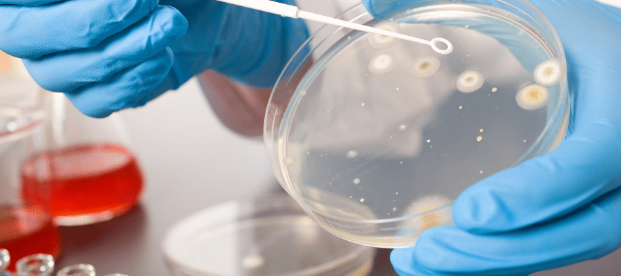 Anti HBs Seviyeleri Nasıl Artırılır?