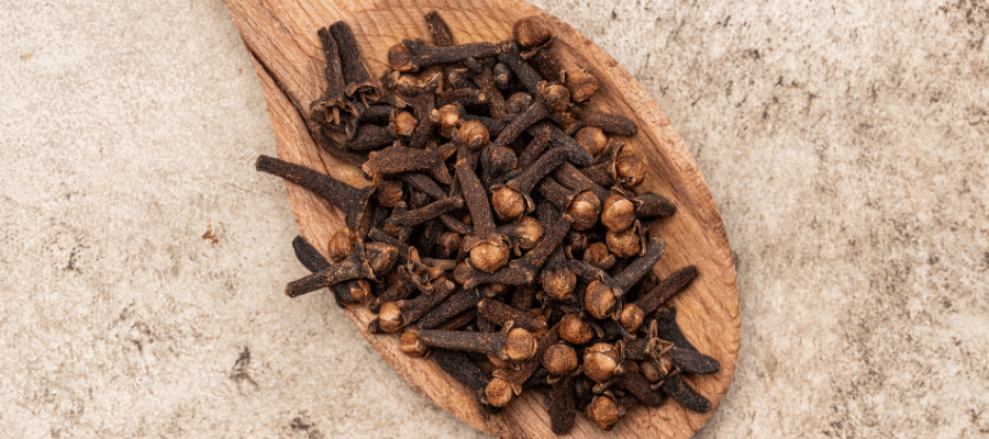 Karanfilin Faydaları Nelerdir?
