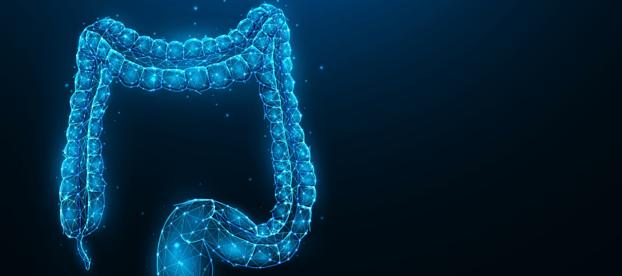 Geçirgen Bağırsak Sendromu Belirtileri Nelerdir?