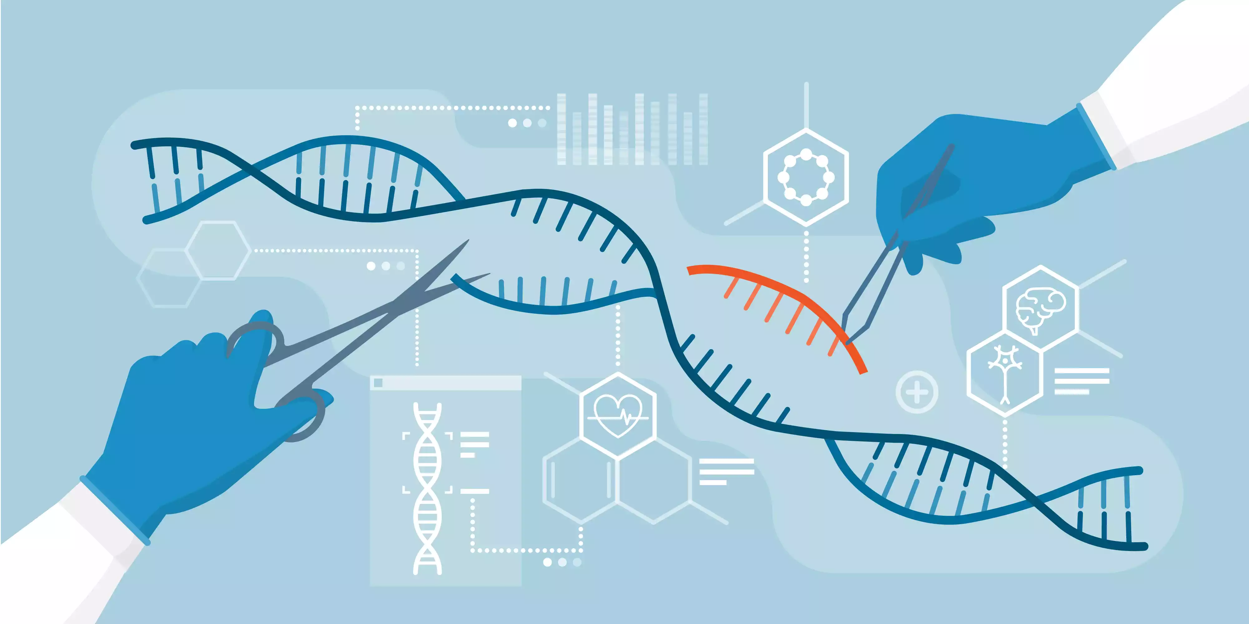 biyogenez nedir