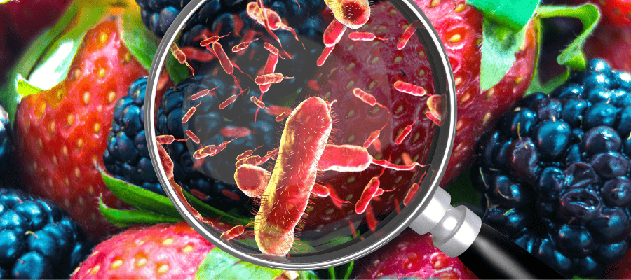 Gıda Zehirlenmesi Neden Olur?