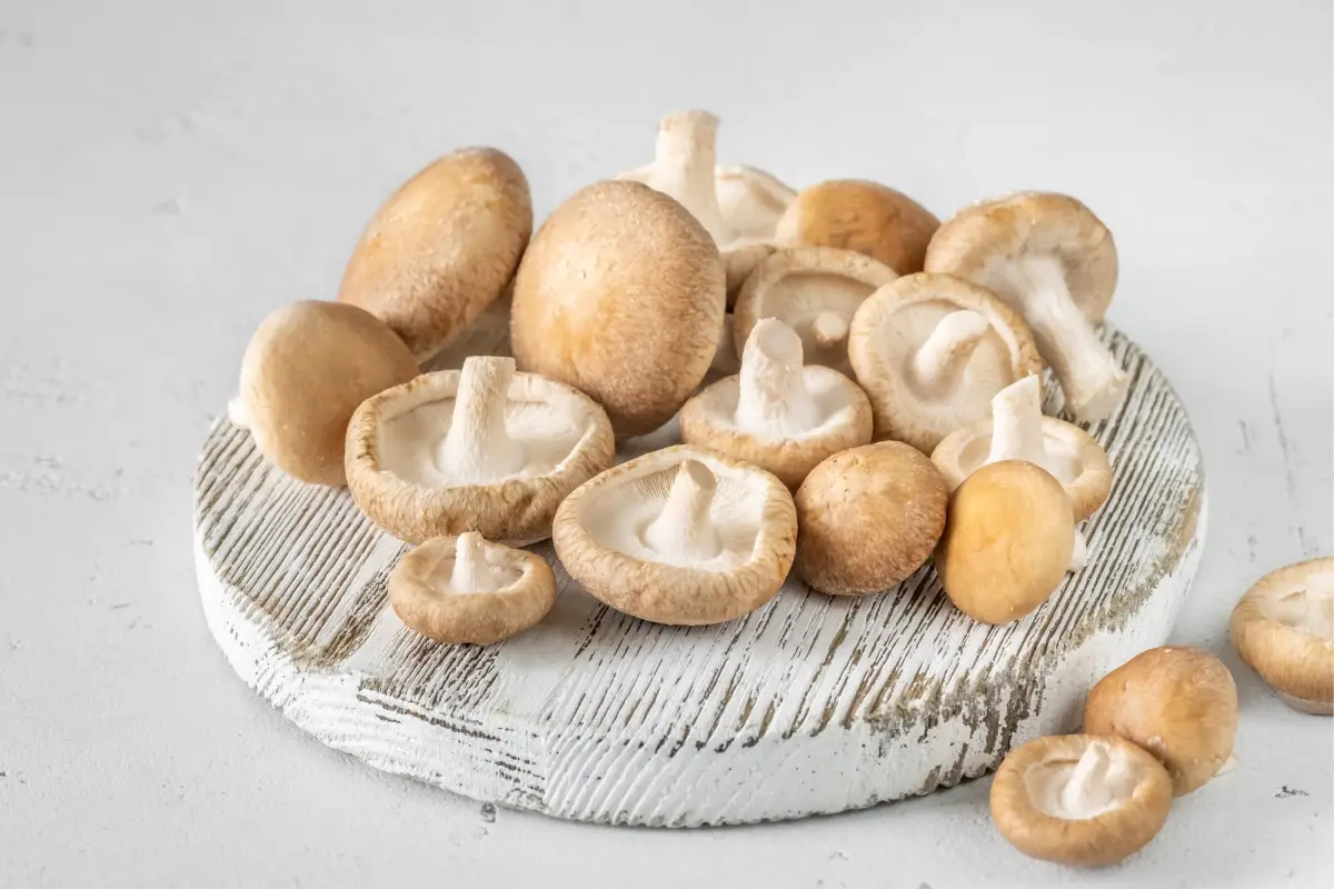D Vitaminini Gıdalardan Almak Mümkün mü?
