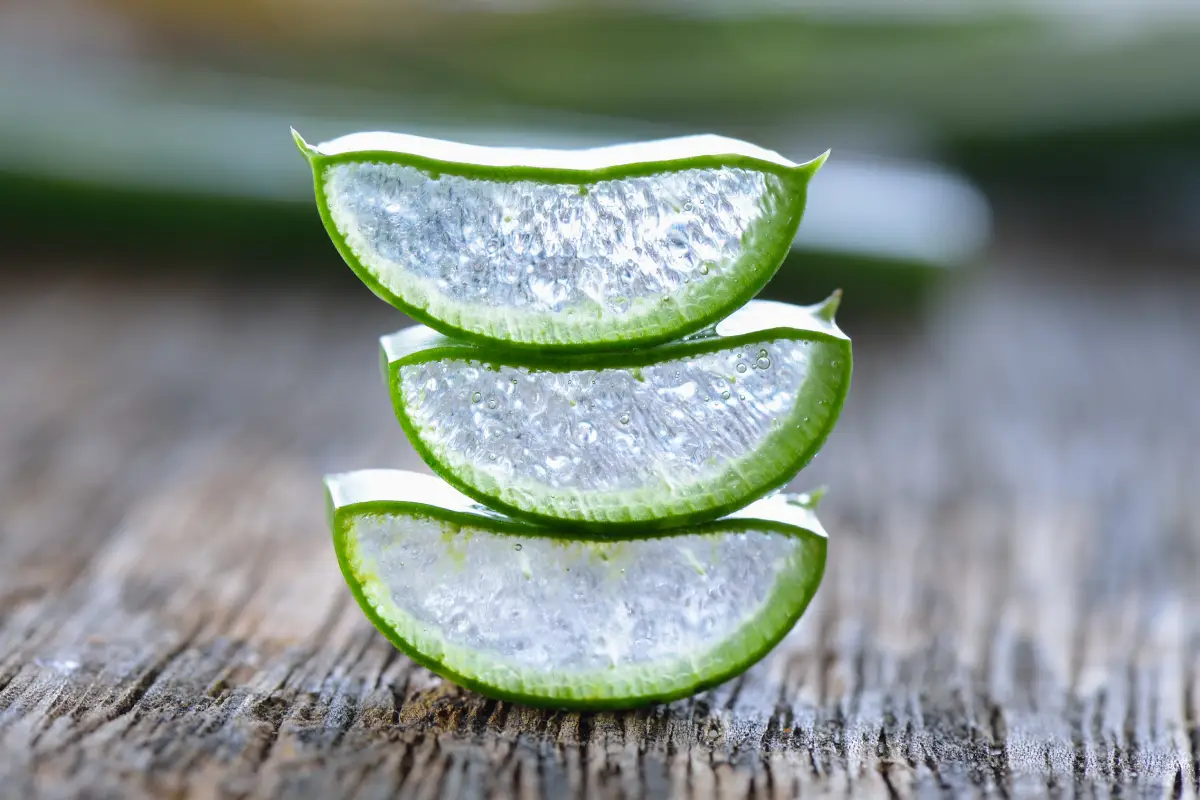 Aloe Veranın Bilinmeyen 5 Faydası