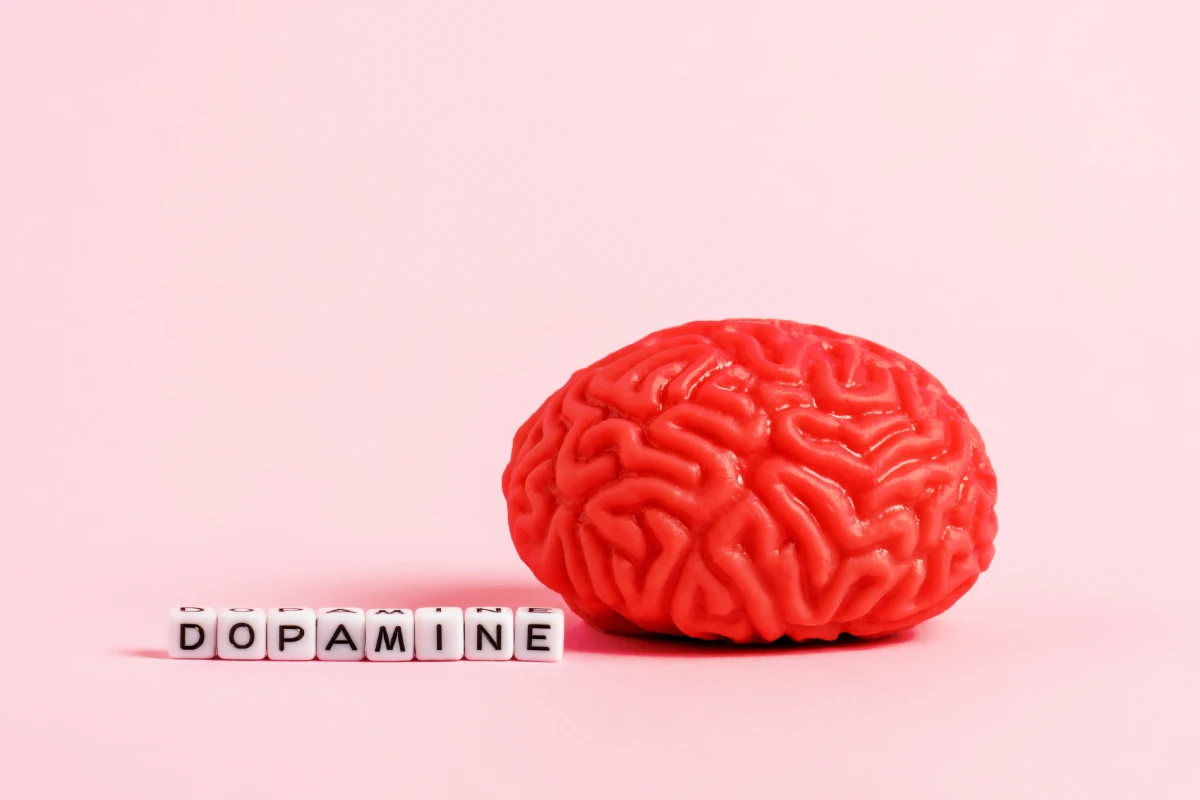 Dopamin Hormonu: Mutluluk ve Motivasyonun Kimyası