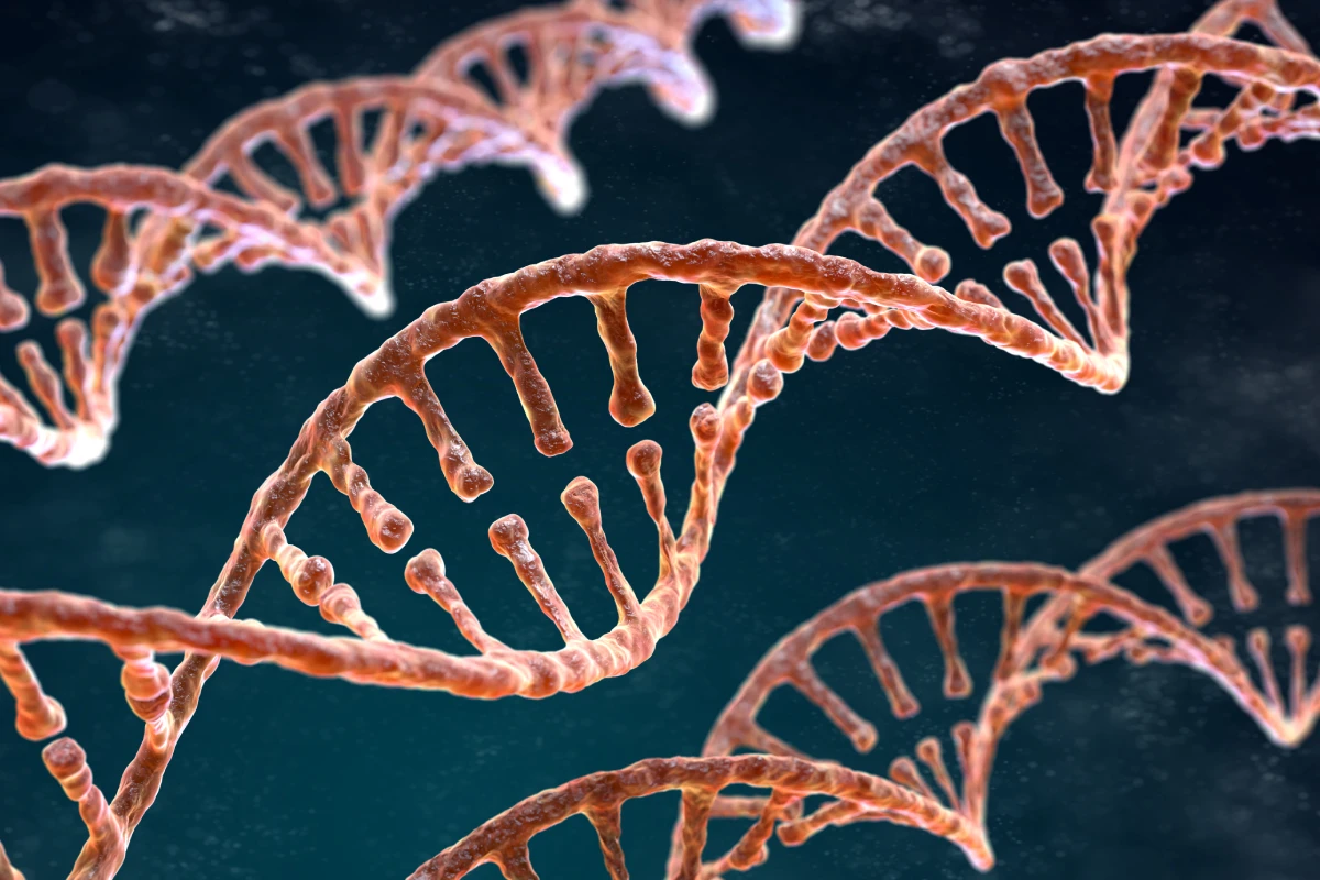 Epigenetik Nedir? Epigenetik Sağlığımıza Nasıl Katkı Sağlar?