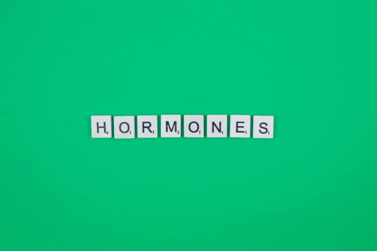 Hormonal Dengesizlik Nedir?