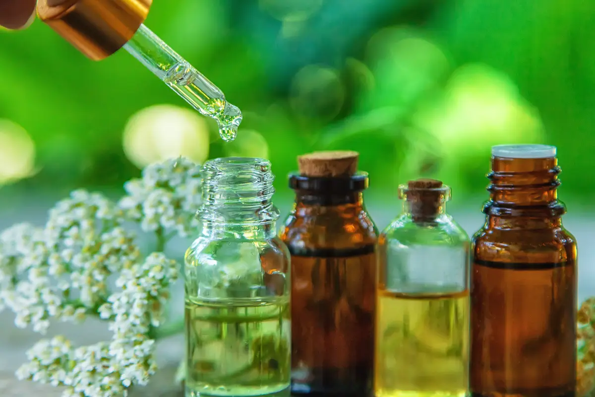 Mucize Bitki Civan Perçeminin Bilinmeyen Faydaları