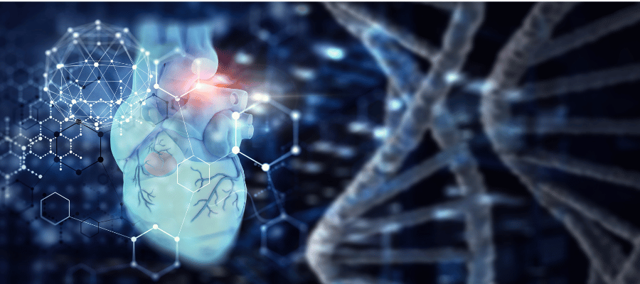 Kalp krizi sonrası kalp dokusunda geri dönüşü olmayan yapısal ve fonksiyonel hasarlar ortaya çıkar.