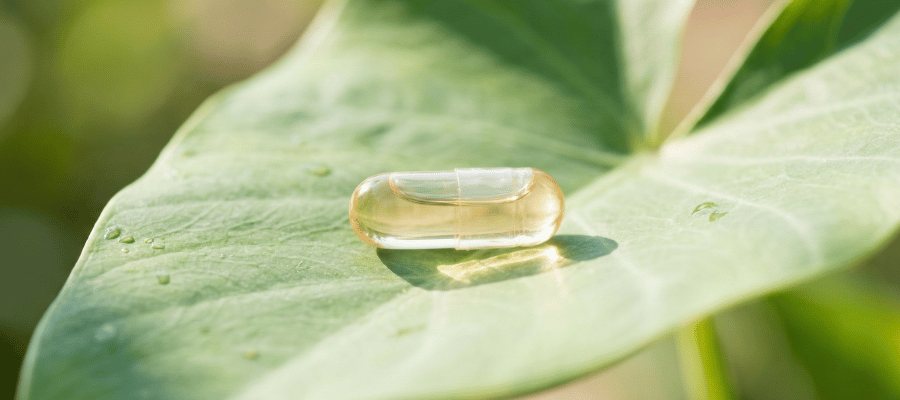 Geroprotektör Nedir?