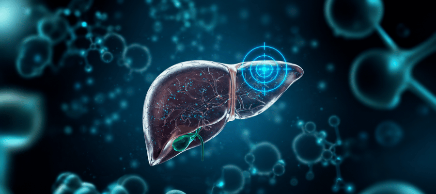 Karaciğer, böbrekler ve metabolik sistemler vücudun normal işleyişinin sürdürülmesinde kritik rol oynar. 