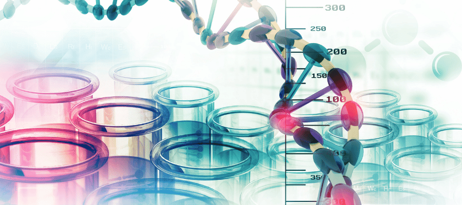 Serbest radikallerin kontrolsüz şekilde artması, hücre zarları, proteinler ve DNA üzerinde oksidatif hasara yol açar.